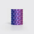 PLA Silk Dual Color