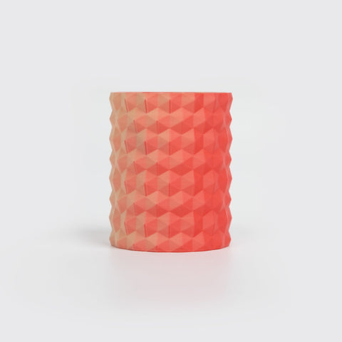 PLA Matte Dual Color